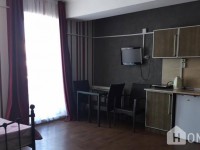 ქირავდება ბინა, 1 ოთახიანი, ახალი აშენებული, ბორჯომი, ბაკურიანი