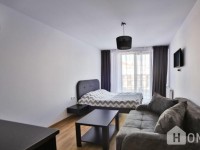 Аренда квартир посуточно, 1 Kомнатная, Новостройка, Казбеги, Гудаури