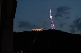 Аренда, 2 Kомнатная, Новостройка, Тбилиси, Мтацминда