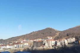 ქირავდება ბინა დღიურად, 1 ოთახიანი, ახალი აშენებული, ბორჯომი, ბაკურიანი