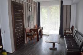 Daily Apartment Rent, 2 Room, Borjomi , Bakuriani