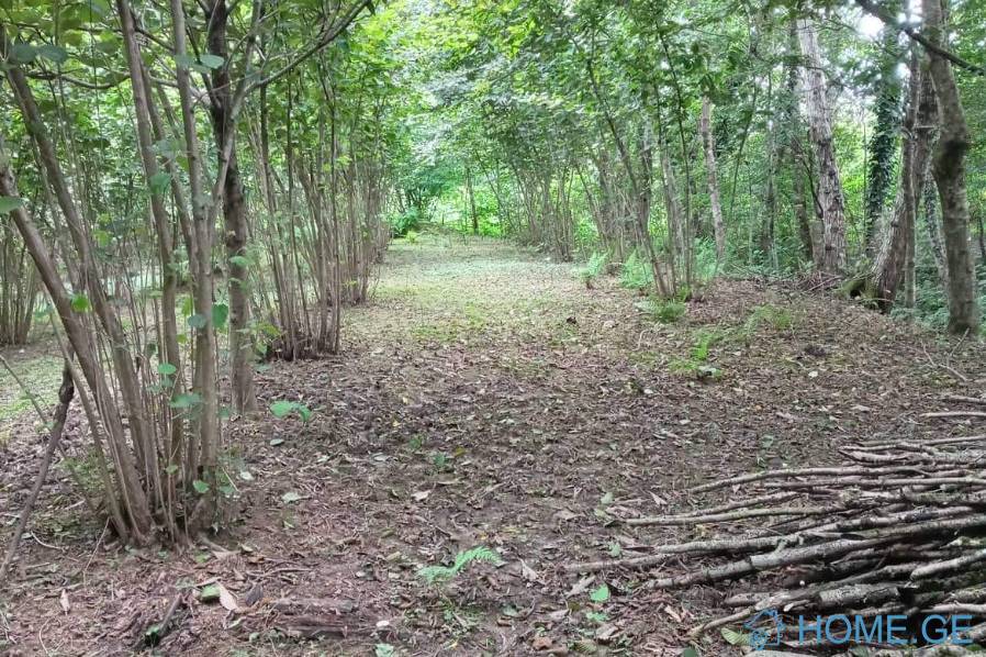 Land For Sale, Agricultural, Torsa