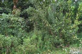 Land For Sale, Agricultural, Torsa