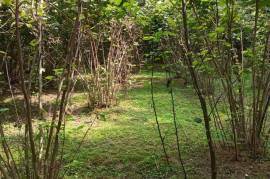 Land For Sale, Torsa