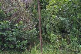 Land For Sale, Agricultural, Torsa