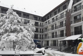 Daily Apartment Rent, 2 Room, New building, Borjomi , Bakuriani