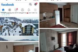 Daily Apartment Rent, 2 Room, New building, Borjomi , Bakuriani