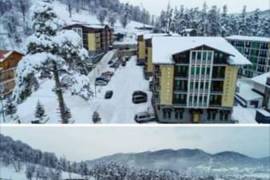 Daily Apartment Rent, 2 Room, New building, Borjomi , Bakuriani
