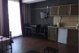 Аренда квартир посуточно, 1 Kомнатная, Новостройка, Боржомский район, Бакуриани