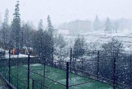 Apartment for sale, 2 Room, New building, Borjomi , Bakuriani