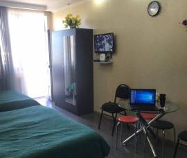 Daily Apartment Rent, 1 Room, New building, Borjomi , Bakuriani