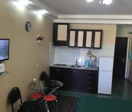 Daily Apartment Rent, 1 Room, New building, Borjomi , Bakuriani