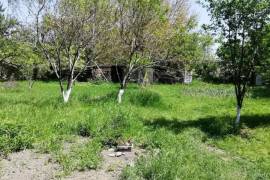 Land For Rent, Digomi 1 - 9