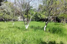 Land For Rent, Digomi 1 - 9