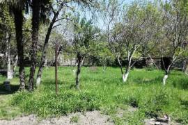 Land For Rent, Digomi 1 - 9