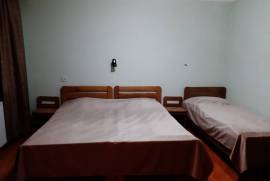 Daily Apartment Rent, 9 Room, Old building, Borjomi , Bakuriani
