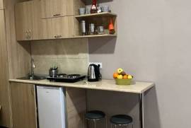 Daily Apartment Rent, 1 Room, New building, Borjomi , Bakuriani