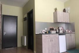 Daily Apartment Rent, 1 Room, New building, Borjomi , Bakuriani