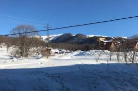Daily Apartment Rent, 1 Room, New building, Borjomi , Bakuriani