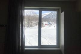 Daily Apartment Rent, 1 Room, New building, Borjomi , Bakuriani