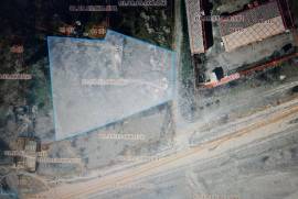 Land For Sale, Lilo