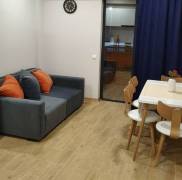 Daily Apartment Rent, 2 Room, New building, Borjomi , Bakuriani