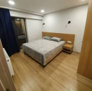 Daily Apartment Rent, 2 Room, New building, Borjomi , Bakuriani