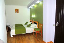 For Rent, 1 Room, New building, Tbilisi, Abanotubani