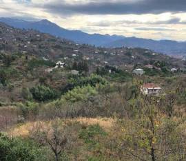 Land For Sale, Chaqvi