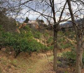 Land For Sale, Chaqvi