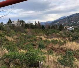 Land For Sale, Chaqvi