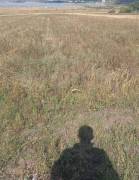 Land For Sale, Mlashe 