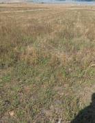 Land For Sale, Mlashe 