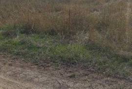 Land For Sale, Mlashe 