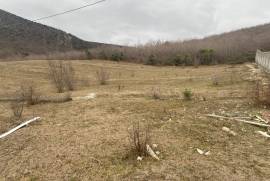 Land For Sale, Dzegvi