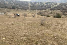 Land For Sale, Dzegvi