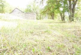 Land For Sale, Sioni