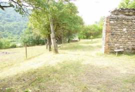Land For Sale, Sioni