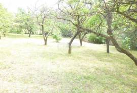 Land For Sale, Commercial, Sioni