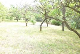 Land For Sale, Sioni