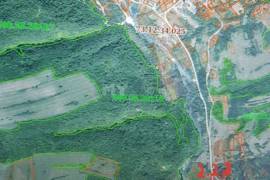 Land For Sale, Sioni