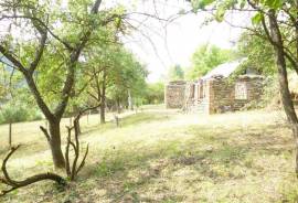 Land For Sale, Sioni