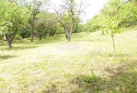 Land For Sale, Sioni