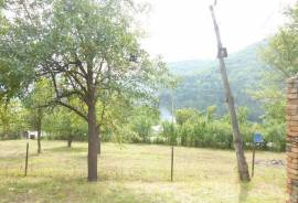 Land For Sale, Sioni