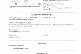 იყიდება სახლი, 7 ოთახიანი, დედოფლისწყარო, ზემო მაჩხაანი