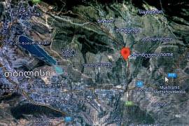 იყიდება მიწის ნაკვეთი, სასოფლო - სამეურნეო, ბროწეულა