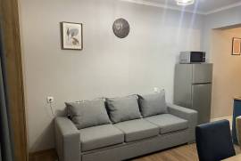 Daily Apartment Rent, 2 Room, New building, Borjomi , Bakuriani