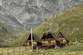 Daily Rent, 2 Room, Kazbegi , Stephantsminda
