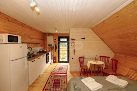 Daily Rent, 4 Room, Borjomi , Bakuriani