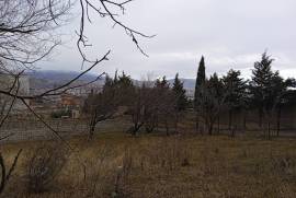 Продается Земля, Сельскохозяйственные, Диди Дигоми